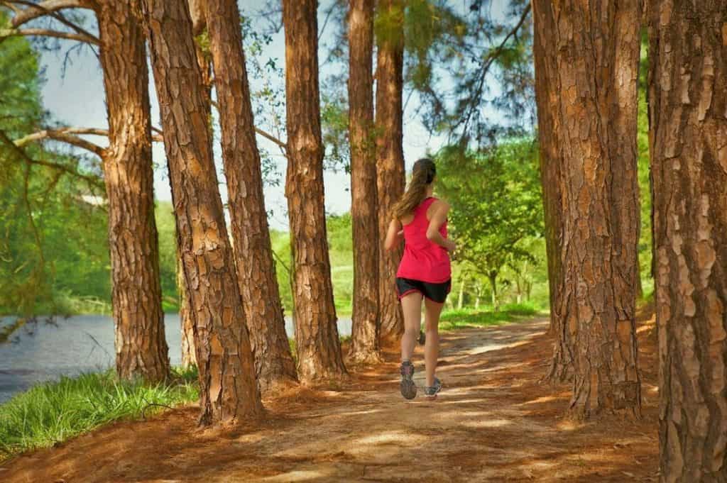 parque caminhada corrida terras de são josé II 2 